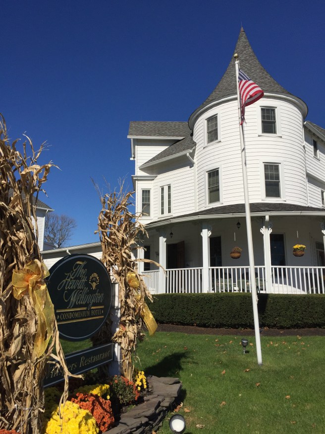 spring-lake-hewitt-wellington