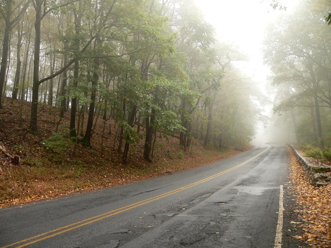dreamstimefree_293004 open road - riding