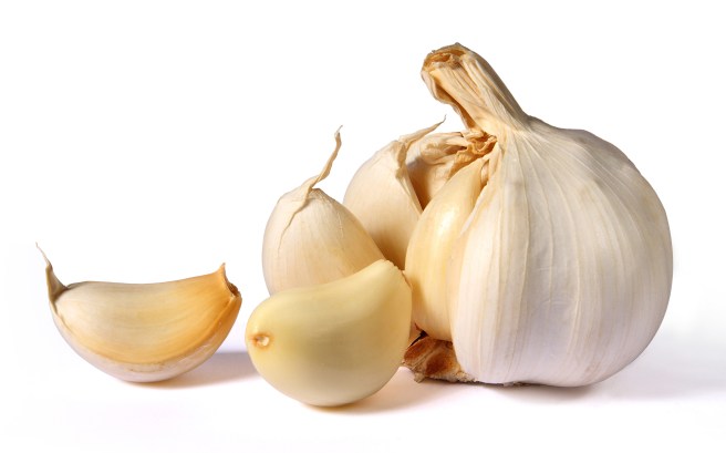 dreamstime_xxl_14279519 food spice garlic