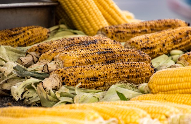 dreamstime_xxl_98172293 roast farm corn on the cob