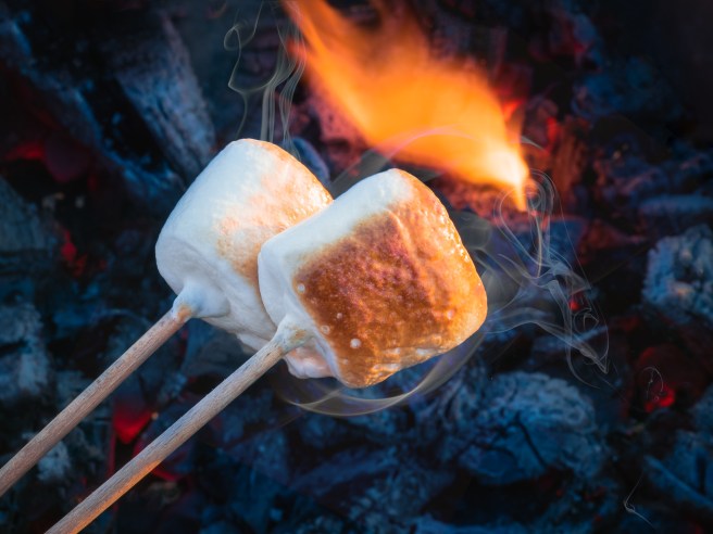 dreamstime_xxl_101632430 food dessert toasted marshmallow
