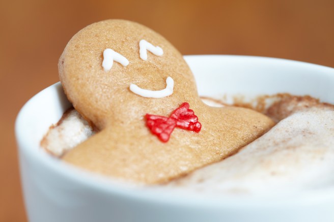 dreamstime_xxl_34617810 food cookie gingerbread man in hot chocolate